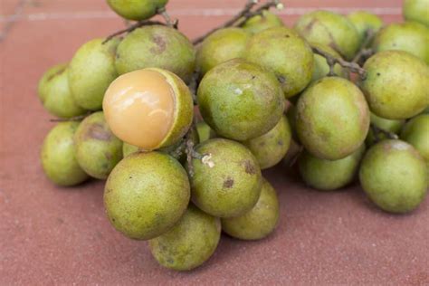 11 Delicious Fruits In El Salvador You Must Taste At Local Markets