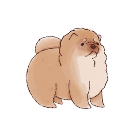 Cute Chow Chow | Cute dog drawing, Cute animal drawings, Canine drawing