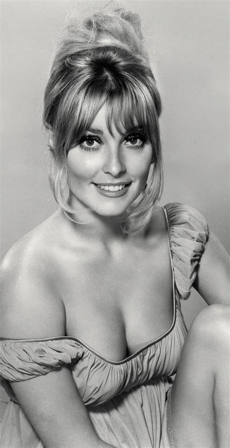 Sharon Tate 1960's | Sharon tate, Actresses, Beautiful actresses
