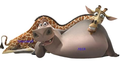 Create meme "Madagascar, Melman the giraffe, Melman" - Pictures - Meme ...