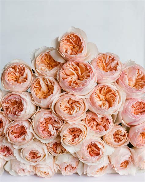 How to Dress Your Wedding with Peach Roses - David Austin Wedding and ...