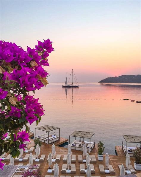 an outdoor dining area overlooking the ocean with boats in the water and purple flowers on the table