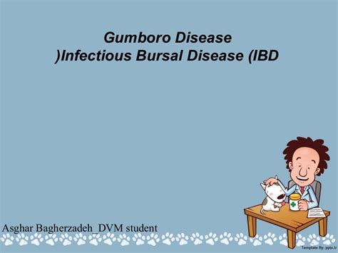 Gumboro_Disease Infectious Bursal Disease (IBD)