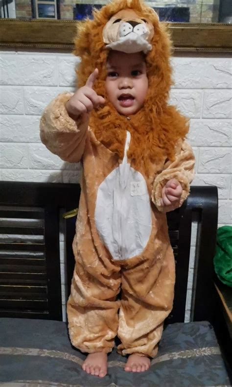 LION COSTUME on Carousell