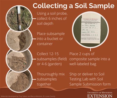 Lawn & Garden Step-by-step Soil Sampling Guide | UMN Extension