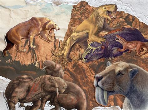 Eight Menacing Saber-Toothed Creatures That Stalked the Earth Long Ago #fossil #paleontology # ...