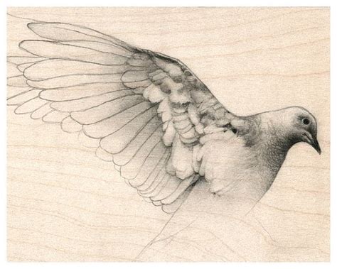 Dove Wings Drawing at GetDrawings | Free download