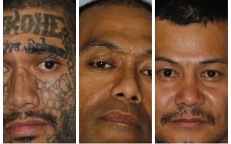 Three escaped prisoners still on the run after fleeing van on Auckland's Southern Motorway | RNZ ...