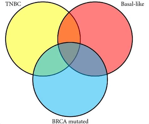 Tri Venn Diagram Template