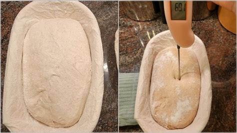 Freezing Sourdough Bread Dough | Sourdough bread, Bread dough, Frozen bread dough