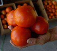 6 New Tainted Tomato Cases in City - The New York Times
