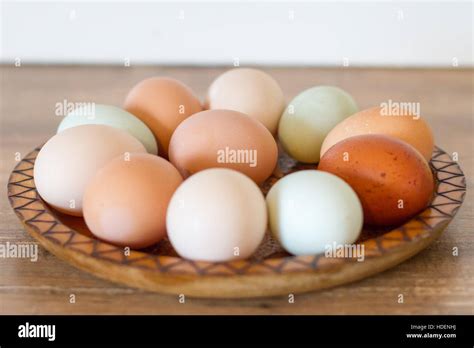 Free range chicken eggs Stock Photo - Alamy