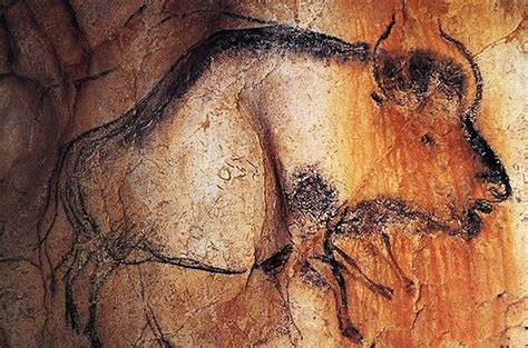 Cueva de Chauvet | Cave paintings, Prehistoric cave paintings, Stone ...