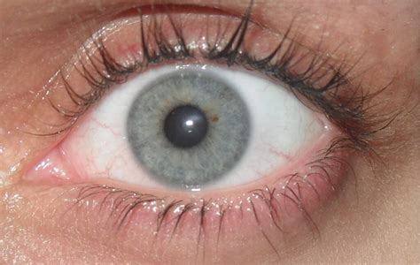 Gray Eyes (Pictures, Genetics & Facts)