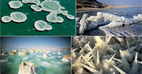 Strange Salt Formations in the Dead Sea | Amusing Planet