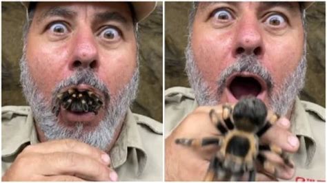 Giant spider crawls out of man's mouth, freaks out internet - Watch ...