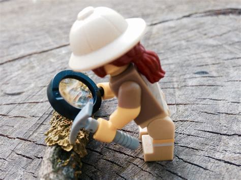 Paleontologist at work - LEGO Minifigures, Series 13 | Flickr