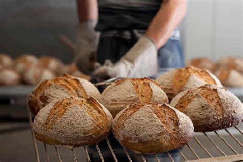 Bourke Street Bakery is selling its sourdough starter - Eat Out - delicious.com.au