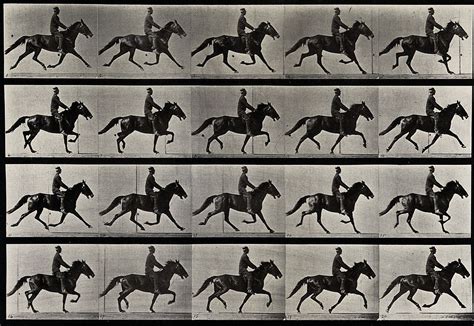 Eadweard Muybridge: Pioneer and Innovator | Autry Museum of the ...