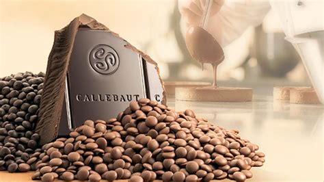 Barry Callebaut explores ways to realize a sustainable supply chain | Food Business Africa Magazine