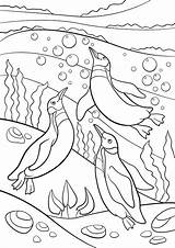 Sunken Ship Drawing At GetDrawings  Free Download sketch template