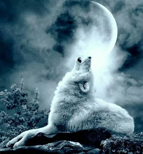 Night call | Fantasy wolf, Beautiful wolves, Wolf howling