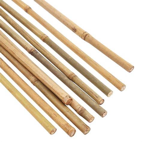 Garden Bamboo Stakes 50 pcs 170 cm