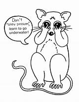 Opossum Coloring Page At GetColoringscom  Free Printable Colorings sketch template