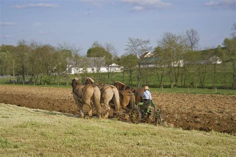 Lancaster County’s Role With The Amish and Amish Heritage | The Amish Village