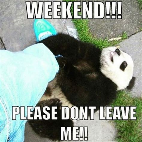 101 Funny Weekend Memes to Celebrate the End of a Long Week at Work