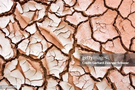 Climate Zones By Altitude Photos and Premium High Res Pictures - Getty ...