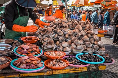 Jagalchi Fish Market, Busan - a delight for the senses - Daily Travel Pill