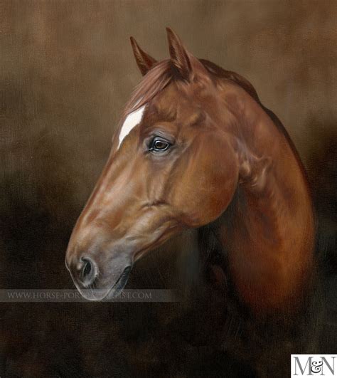 Horses Portrait - Oil Paintings on Canvas