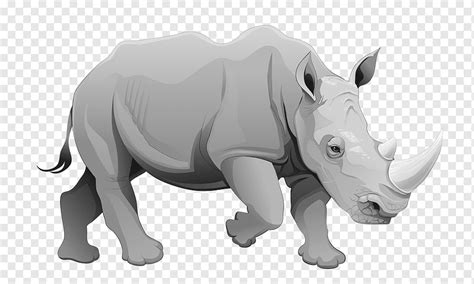 Rhinoceros Cartoon Illustration, Gray rhino, mammal, animals, fauna png | PNGWing