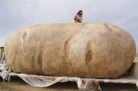 Largest Potato Ever Grown