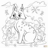 Bobcat coloring Page  Free Printable Coloring Pages sketch template