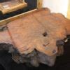 Wood Tree Coffee Table - TheBestWoodFurniture.com