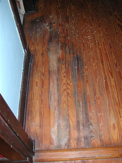 How To Repair Wood Floor After Water Damage | Viewfloor.co