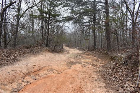 Talladega National Forest 600-1 - Alabama Offroad Trail