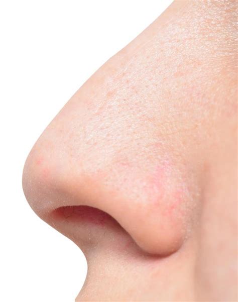 What Is a Nostril? (with pictures)