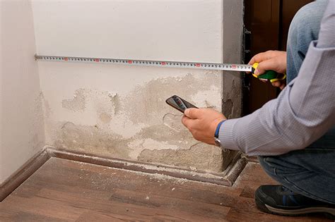 Water/Mold Claims - Horizon Public Adjusters