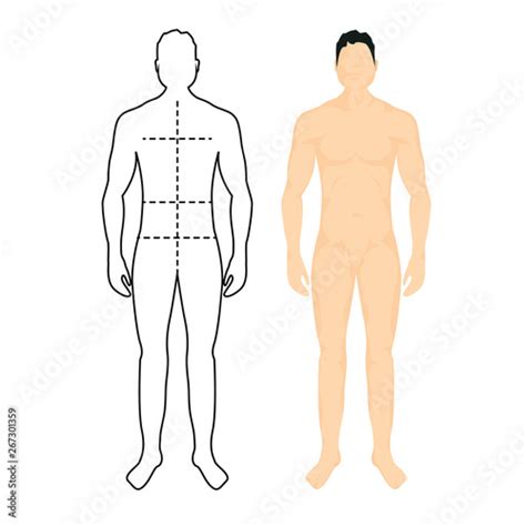 Man anatomy silhouette size. Human body full measure male figure waist, chest chart template ...