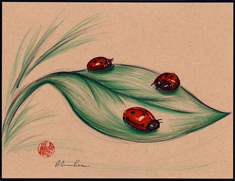 ladybug on a leaf drawing - Clip Art Library