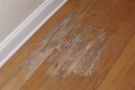 removing water stains from wood floor | Click to Find Out More! | Hardwood floors, Wood, Flooring