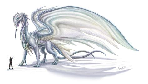 crsytal dragons | Crystal Dragon - Jacob's Personal Wiki Dragon Head ...