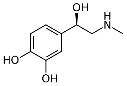 Image: Epinephrine structure