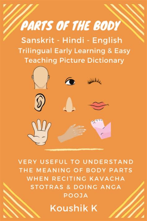 Buy Parts of the Body Sanskrit - Hindi - English: Trilingual Early Learning & Easy Teaching ...