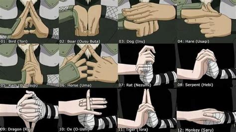 Image - Chakra HandSealsGuide.jpg | Naruto Fanon Encyclopedia Wiki | FANDOM powered by Wikia