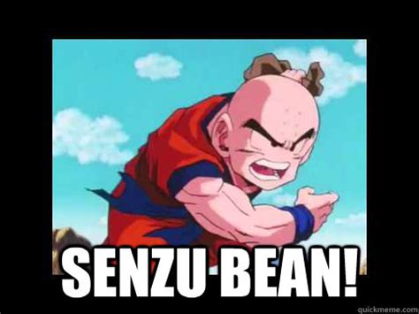 SENZU BEAN! - abridged senzu bean - quickmeme