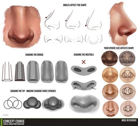 Nose Drawing Reference#drawing #nose #reference in 2020 | Digital painting tutorials, Nose ...